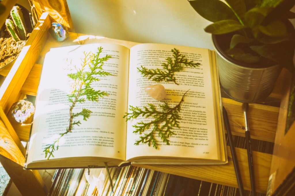Terapias y Sesiones An open book with pressed ferns and crystals on a sunny wooden shelf with plants.